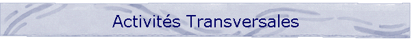 Activits Transversales