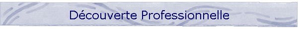 Dcouverte Professionnelle